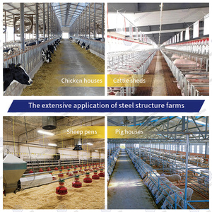 Nhà bò thép giá rẻ cho trang trại bò sữa và bò - Product Image 6