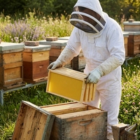 Im Angebot: Kiefernholz Langstroth Bienenstock-Rahmenset mit Kunststoff-Wachsplatten, Neue Imkereiausrüstung der Marke SP