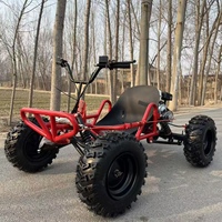 Kart de Carreras Profesional de 212cc, Gasolina, 4 Tiempos, Llantas de 8-10 Pulgadas, Transmisión por Cadena, Frenos de Disco Hidráulicos, Velocidad Máxima de 60km/h, para Entretenimiento