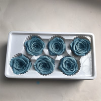 Roses Éternelles Naturelles Véritables Conservées de 5-6 cm en Gros