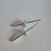 Vente en gros de rivets étanches personnalisés rivet aveugle anodisé rivet à tête dôme en acier aluminium