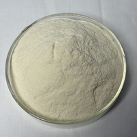Poudre d'hydroxyéthyl chitosane de haute pureté (90%-99%) pour applications cosmétiques