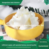Cire de coco pure naturelle en carton, cire végétale sûre pour la fabrication de bougies