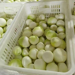 Taze vakum soyulmuş soğan toptan çin'den en iyi fiyat ile soyulmuş profesyonel fabrika tedarikçisi - Product Image 5