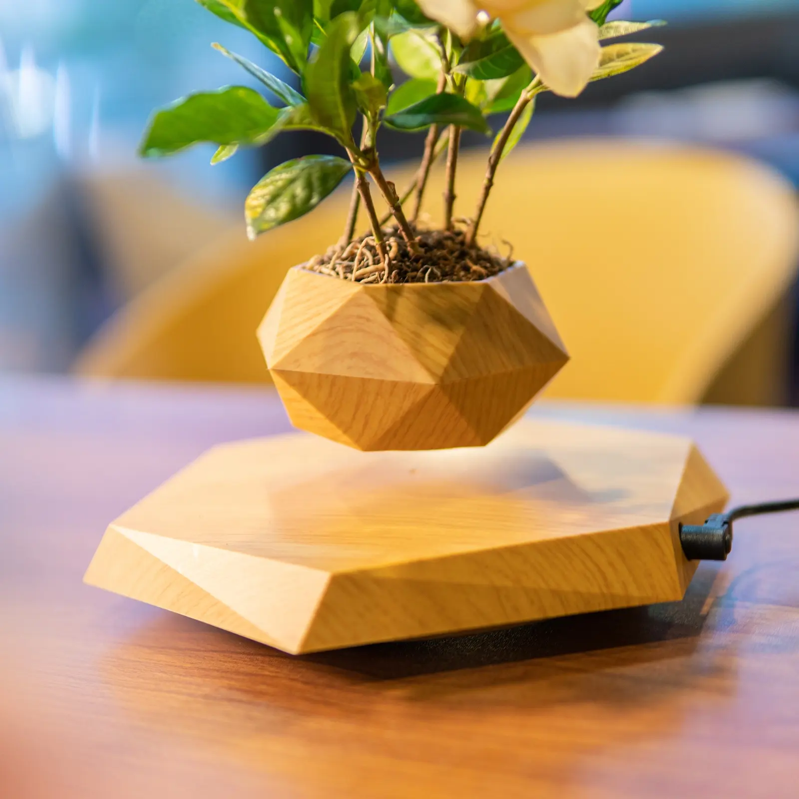 北欧スタイルの磁気フローティング盆栽浮揚植木鉢家の装飾のためのファッショナブルで創造的なギフトフローティング植物