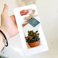 Boîte cadeau pliable pour plantes en pot, boîte cadeau florale de couleur unie, boîte à fleurs portable, fête des mères