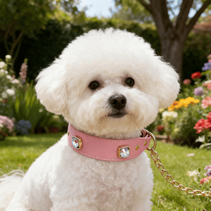 <span class=keywords><strong>Collar</strong></span> de lujo personalizado de germen y hardware, collares de perro <span class=keywords><strong>Martingale</strong></span> de cuero ajustable ancho negro blanco rosa con cadena - Product Image 2