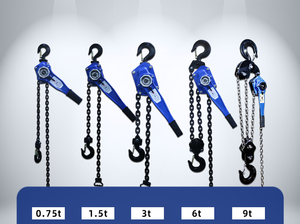 Polipasto <span class=keywords><strong>de</strong></span> <span class=keywords><strong>cadena</strong></span> <span class=keywords><strong>manual</strong></span> <span class=keywords><strong>de</strong></span> <span class=keywords><strong>cadena</strong></span> <span class=keywords><strong>de</strong></span> hierro engrosado <span class=keywords><strong>de</strong></span> alta calidad Tracción vertical 1-10 Ton Polipasto <span class=keywords><strong>manual</strong></span> <span class=keywords><strong>de</strong></span> tracción - Product Image 5