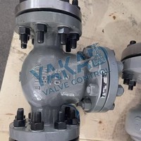 Vanne de retenue en acier inoxydable, type oscillant, filetage BSP NPT, pour applications d'alimentation en eau et de plomberie