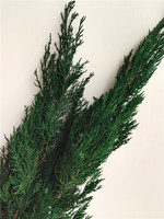 Daun Pinus dan Cemara yang Diawetkan untuk Dekorasi Rumah Natal, Bunga Kering Alami untuk Karangan Bunga Natal dari Resin