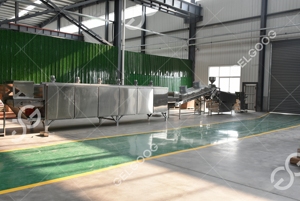 Máquina Industrial de Fritura Continua de Cacahuetes y Frutos Secos, Nueva, a Gas, Precio Económico, 1 Año de Garantía, Cilíndrica, para la Elaboración de Frutos Secos Mixtos Fritos - Product Image 5