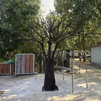 Arbre d'olivier artificiel personnalisé avec tronc en fibre de verre, grand arbre artificiel en fibre de verre pour la décoration