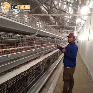 Durevole Completamente Automatico Multi Tiers H Tipo di 1 Giorno di Età Del Bambino Strato Pulcini di Pollo Cova Gabbia per Galline Ovaiole - Product Image 6