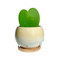 Maceta de Cerámica para Suculentas y Cactus con Efecto de Grieta de Hielo y Esmalte Fluido, Diseño Minimalista Semielaborado, Pequeña Maceta de Escritorio