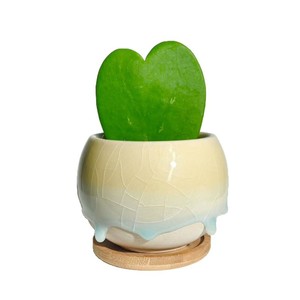 Vaso in <span class=keywords><strong>Ceramica</strong></span> per <span class=keywords><strong>Piante</strong></span> <span class=keywords><strong>Grasse</strong></span> e Cactus con Effetto Craquelé e Smalto Fluido, Design Minimalista Semi-artigianale, Piccolo Vaso da Scrivania - Product Image 6