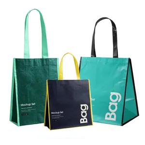 Guangzhou Colorful Promotional Polypropylene 80Gsm Non Woven Bag With Handle
