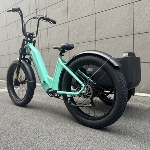 E bike Side Car Adulto triciclo eléctrico bicicleta 3 ruedas ebike Triciclo de carga eléctrico 750W batería de litio oculta etrike sidecar - Product Image 3