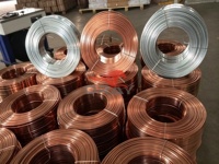 Machine à tréfiler à deux rouleaux en carbure à entraînement par engrenages, haute précision, épaisseur réglable, pour le laminage de fil plat en fer et en acier