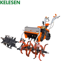 Désherbeuse à haute efficacité KELESEN, machine à désherber performante, mini-désherbeuse à prix bas