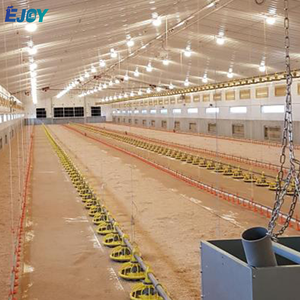 Pollaio Prefabbricato per Polli da Carne, Attrezzatura Commerciale Automatica per Allevamento Avicolo - Product Image 2