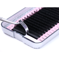 How Sale Fournisseur de plateau de cils professionnel de haute qualité Extensions de cils Easy Fan à volume complet
