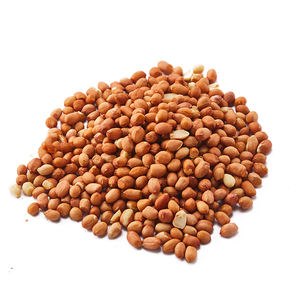 Nieuwe Jaar Promotie Beste Kwaliteit Ruwe Pinda <span class=keywords><strong>Kernel</strong></span> Niet-gmo - Product Image 1