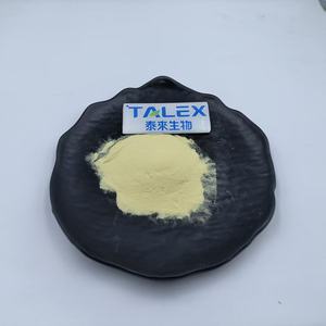 Club <b>Moss</b> Spores Dragon's Breath Powder Pure Lycopodium Spore Powder for Massive Flames Light Heavy Lycopodium Powder - Product Image 3