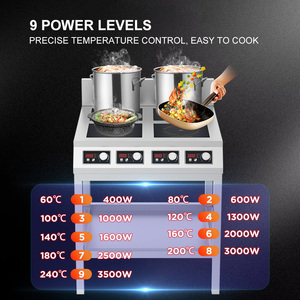 Hausberg-Ertone/Cuisinière à gaz de haute qualité avec brûleur unique - Product Image 6