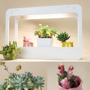 Minigarden <span class=keywords><strong>Eragon</strong></span>-กระถางต้นไม้ในร่มอัจฉริยะ,กระถางต้นไม้ Led อัจฉริยะไฟปลูกต้นไม้ - Product Image 1