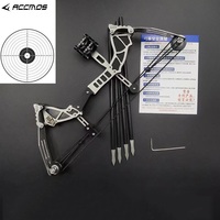 Ensemble d'arc à poulies miniature de tir à l'arc 12lbs, portée 20m, puissant, en acier inoxydable, pour divertissement intérieur/extérieur, en plastique