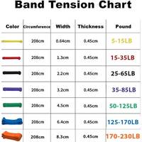 Juego de Bandas de Resistencia de Caucho Natural Personalizadas de Fábrica, Bandas Elásticas Duraderas y Ecológicas para Gimnasio, Entrenamiento en Casa, Fitness para Adultos