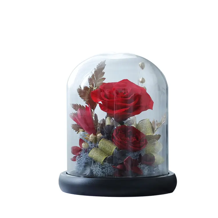 100% bir sınıf gerçek çiçek ölümsüz gül cam kapak korunmuş çiçekler yuvarlak cam kubbe sevgililer günü hediyesi için