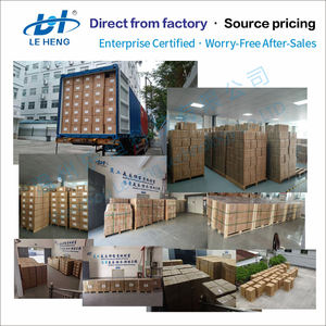 Mini incubateur à œufs électrique à résistance avec thermostat intégré, thermostat numérique à température constante, circuit imprimé - Product Image 4