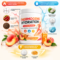 Poudre d'hydratation électrolytique à marque privée, mélange de boisson énergétique thermogénique, soutien métabolique, supplément en poudre brûle-graisse pour l'entraînement