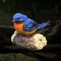 Figurine d'oiseau en résine peinte à la main WeiVista avec un design de plumes colorées pour la décoration de jardin, décoration de bureau, fournisseur