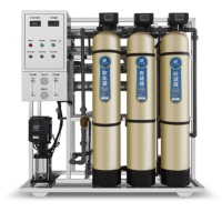 Fabricant de purificateurs d'eau industriels 1000 LPH, système d'osmose inverse commercial certifié CE, usine d'eau potable de qualité RO