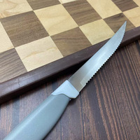 Couteau à steak très vendu, couteau à fruits, tomates et pain, lame ultra-affûtée dentelée pour couper la viande, idéal pour la cuisine domestique