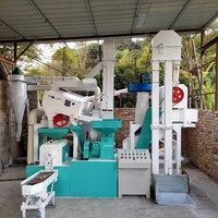 Usine de moulin à riz d'ensemble complet 800-1200 kg/h 25kw projet de mouture de riz usine de moulin à riz sur le marché de Pakistan Philippines