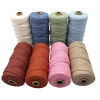 Corde en macramé tressée de haute qualité 5mm 100m cordon en macramé en polyester coton recyclé multicolore spécifications d'usine emballage