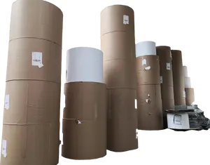 230-400gsm Ivory Coated Paper 400gsm 787mm 889mm On Roll Offset Printing Paper