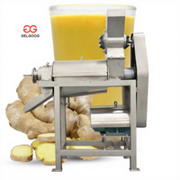 Gemberpers, sapcentrifuge, machine voor de productie van volle gembersap, productielijn voor gember- en knoflooksap, te koop.
