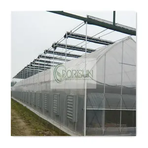 Smart Micro Mist Home Green House Climate And Control System Mushroom Invernaderos Greenhouse With Shade