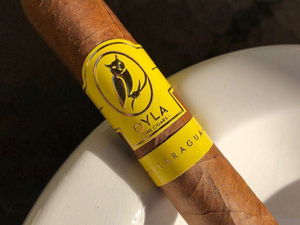 High Quality Label Embossed Gold Foil <b>Logo</b> Cigar Ring <b>Sticker</b> Luxury Printing Custom for Packaging - Product Image 5