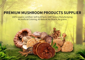 GANOHERB Produsen OEM Menyediakan Bubuk Miselium <span class=keywords><strong>Cordyceps</strong></span> Kapsul <span class=keywords><strong>CS4</strong></span> - Product Image 4