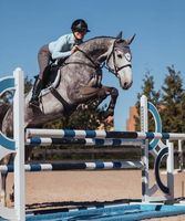 Équipement d'Équitation Haut de Gamme avec Configuration Réglable pour l'Entraînement des Chevaux et les Événements de Saut d'Obstacles