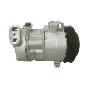 WELL-IN China Manufacturer Customized 5SE12C OE Quality 7SE Car Air Con 12v 6seu14c All Various Kinds Of Ac Compressor