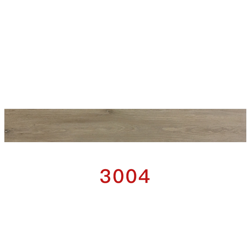 3004