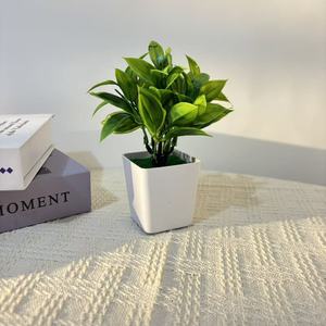 Plantes artificielles d'<span class=keywords><strong>eucalyptus</strong></span> en soie en <span class=keywords><strong>pot</strong></span>, décoration intérieure et extérieure, petit <span class=keywords><strong>pot</strong></span> carré vert, vente chaude transfrontalière - Product Image 6