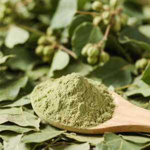 ผงมะรุมะรุมะริงกาสารสกัดจากใบมะรุมบริสุทธิ์จากธรรมชาติ - Product Image 4