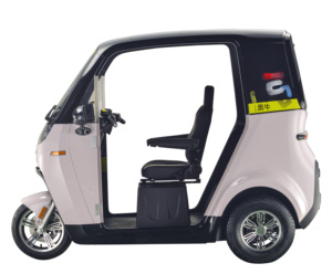 3 Wheel Electric Scooter <strong>Trike</strong> Motor 3 Wheels Three Wheel <strong>E</strong> Bike <strong>Enclosed</strong> Electric Tricycle With Roof - Product Image 2